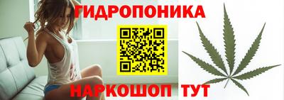 PSILOCYBIN Будённовск