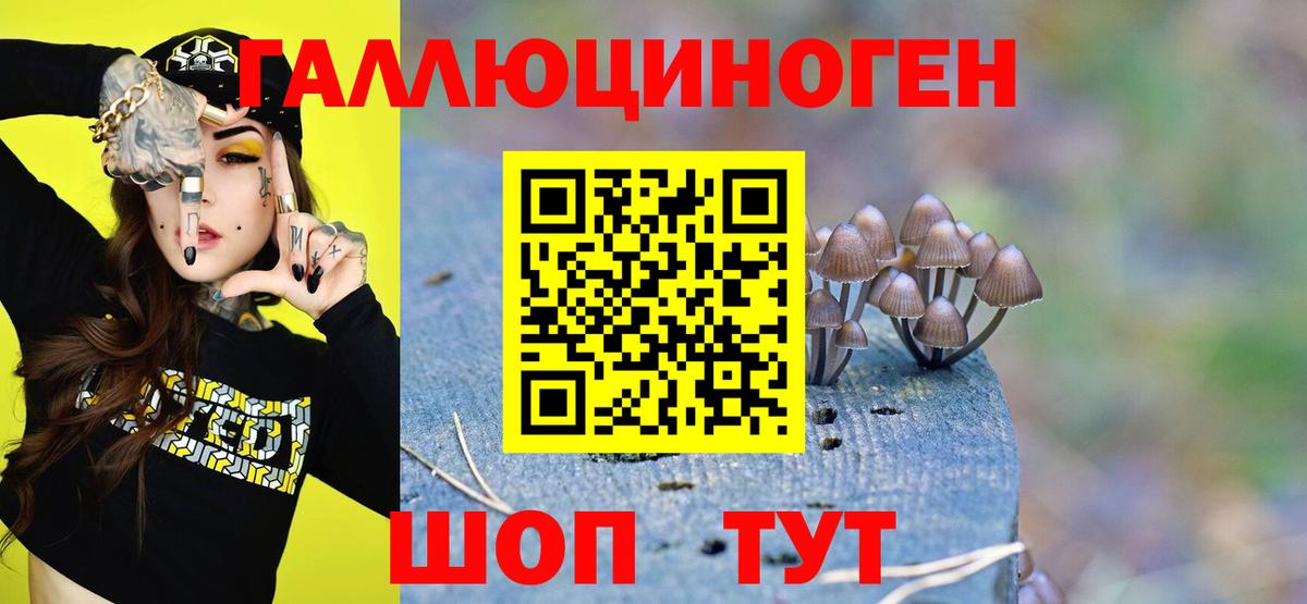 Псилоцибиновые грибы ЛСД  Вход с VPN  цена наркотик  Истра 