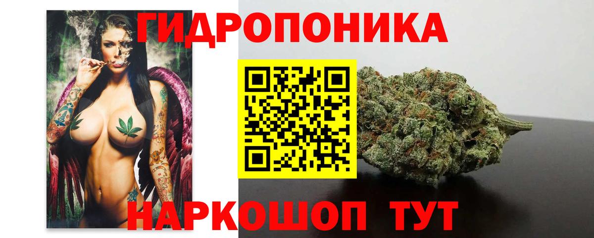 Каннабис индика  Марихуана OG Kush  Истра  Канабис сатива  Вход с VPN  Конопля тримм 